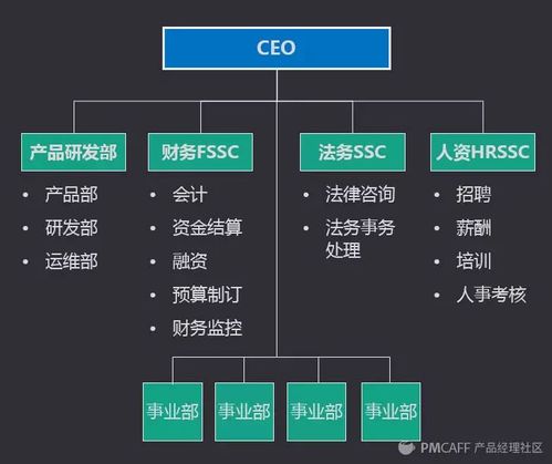 中台设计精要 从理念到实践的软件开发指南